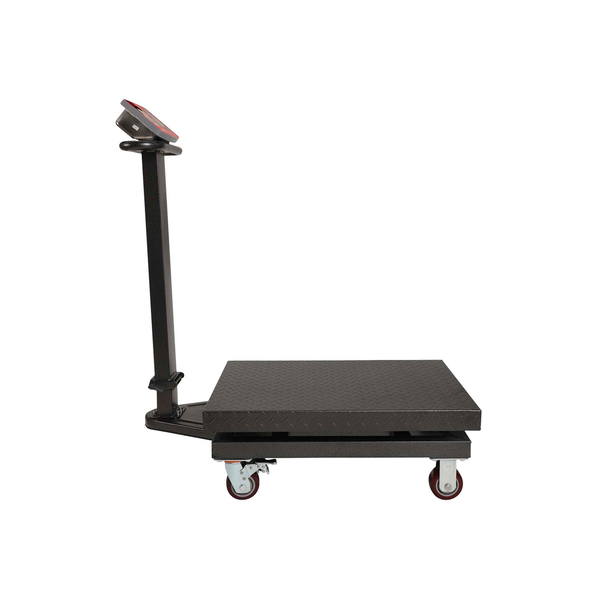 Báscula Rhino Baple-800 Báscula De Plataforma 800 Kg