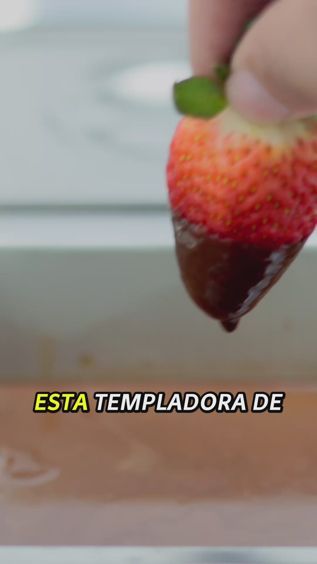 Templadora Fundidora De Chocolate Rhino Choco-2